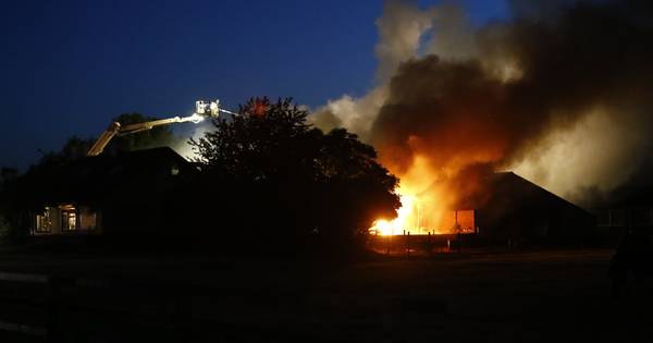Brand legt grote stal in Gassel in de as, paarden op tijd naar buiten - De Gelderlander