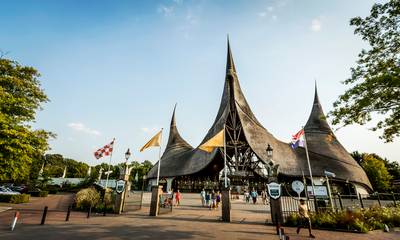 Zeven aanhoudingen na grote vechtpartij bij de Droomvlucht in de Efteling