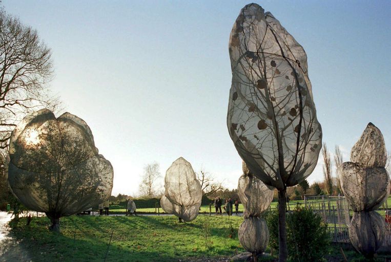 Ingepakte bomen in het Berower-ark in Riehen, Zwitserland, november 1998.