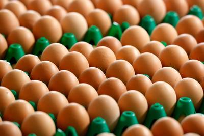 Nog steeds giftige fipronil in eieren in de winkel