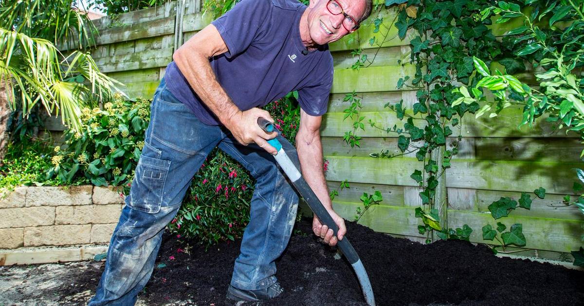 Tuinman Rob Is Nog Niet Uitgebloeid Show Gelderlander Nl