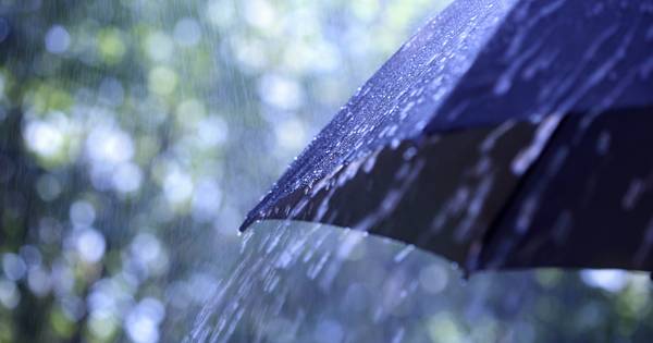 Belgische omleiding in de gietende regen | Zeeuws-Vlaanderen - PZC