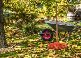 Van bloembol tot vogelhuisje: 9 najaarsklusjes voor in de tuin