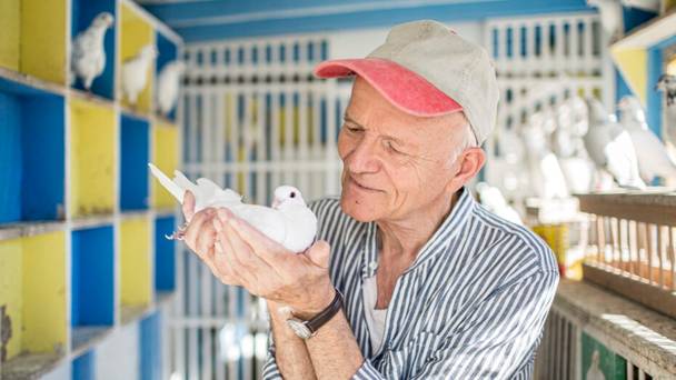 Close Up: Anton van Dalen - Circling home