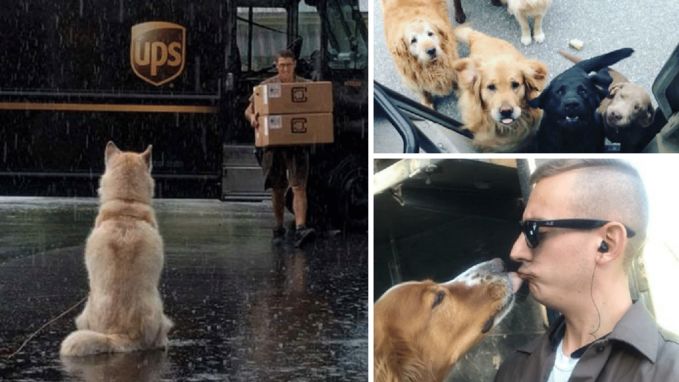 Blijkt dat er een heerlijke Facebookgroep bestaat van UPS-pakjesbezorgers en de honden die ze ontmoeten op hun route