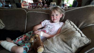 Bazin van bijtende herder moet 5.000 euro smartengeld betalen