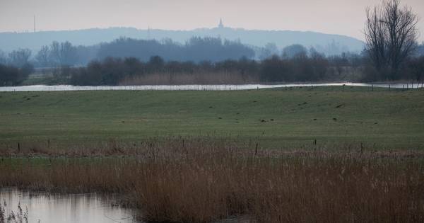 Rijnstrangen als retentiegebied: vragen blijven over plannen om gebied onder water te zetten