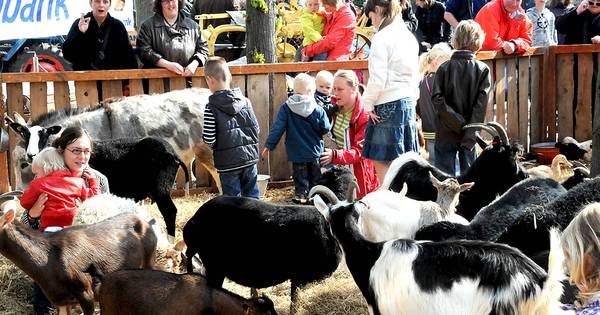 Buurt reageert verdeeld op dierentuinplan Bert Roelofs
