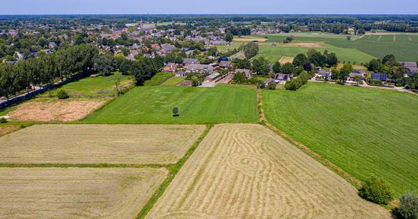 Nieuw bouwplan in je achtertuin? Liempdenaren voelen zich allesbehalve gehoord - BD.nl
