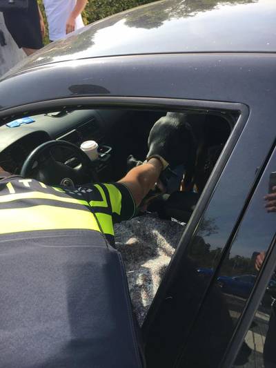 Agenten slaan ruiten in om hond uit snikhete auto te redden in Duiven