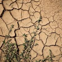 Studie waarschuwt dat kans op droogte in België elf keer groter is door klimaatverandering