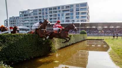 Zwevegem In De Buurt Hln