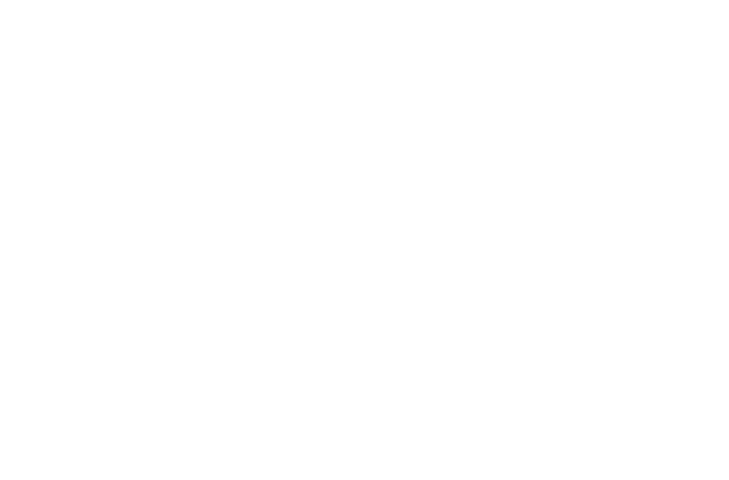 Braquage final