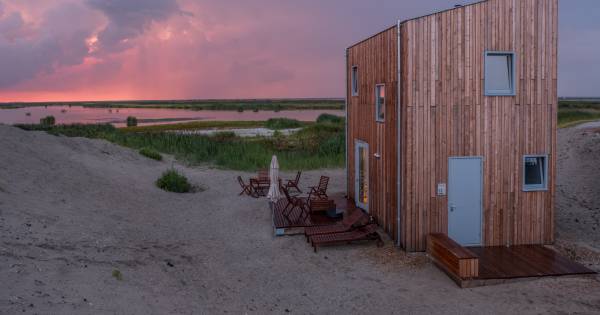 Slapen op de Marker Wadden: vogels verbreken oorverdovende stilte - BN DeStem