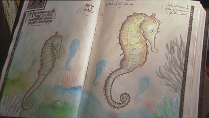 8. Het Zeepaard & De Zeedraak