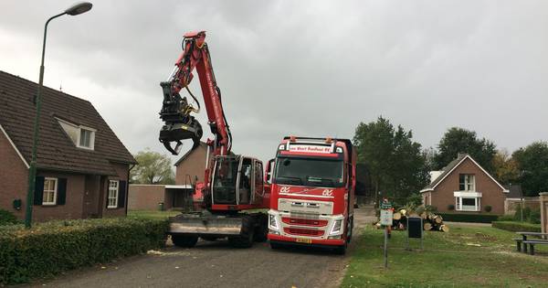 Landhorst wordt straat voor straat groener, duurzamer en mooier