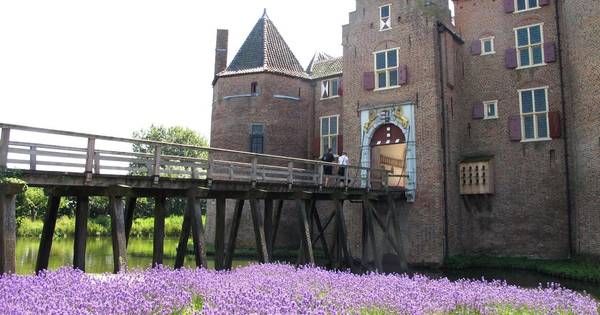 Altijd al tuinman van een kasteel willen zijn? Kom naar de vrijwilligersmarkt Ammersoyen