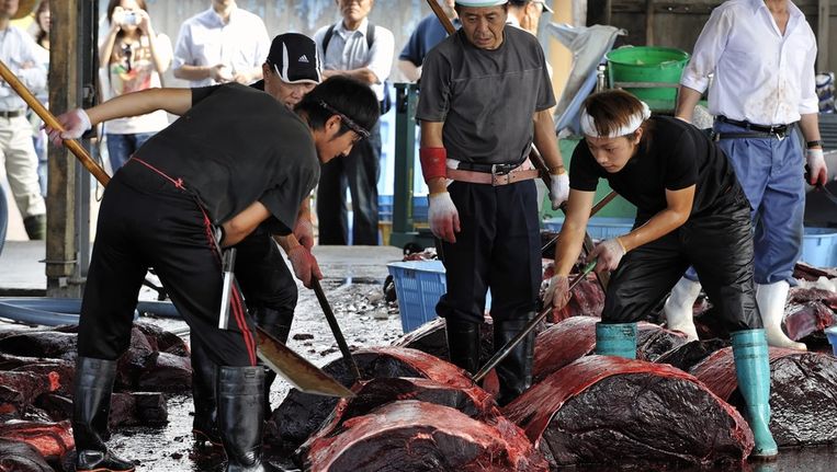 Waarom Japan op walvissen bleef jagen - Trouw