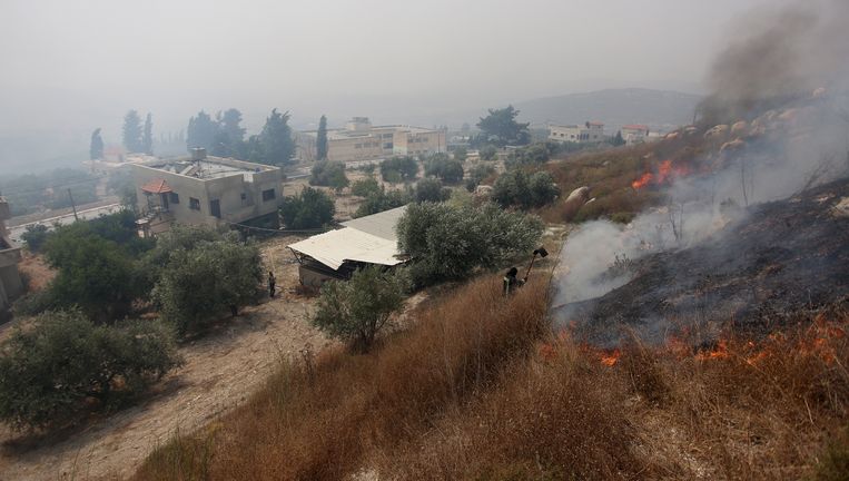 763?appId=2dc96dd3f167e919913d808324cbfe