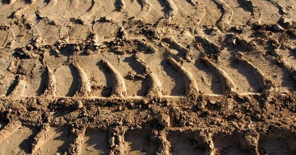 Melkvee- en Akkerbouwdagen van Liempde naar Hilvarenbeek