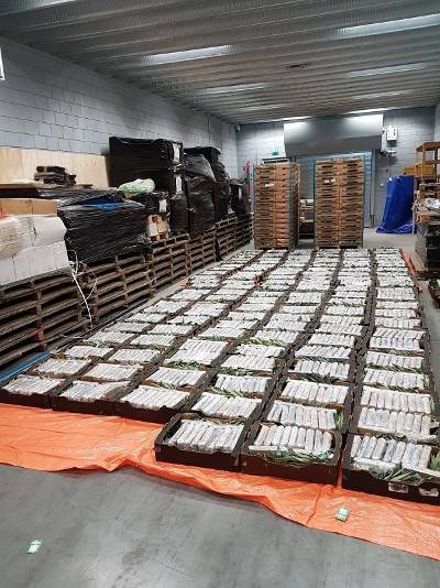 Duizend kilo cocaïne tussen fruit gevonden in Oudenbosch