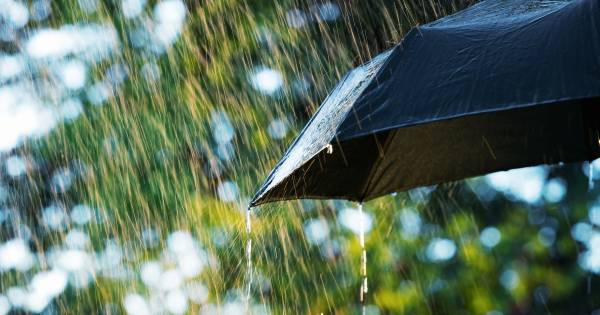 Code geel in Brabant en Zeeland door zware windstoten - BD.nl