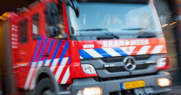 Waterballet In Bilthoven Door Gesprongen Cv Leiding Utrecht