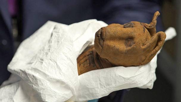 The secret of the animal mummies