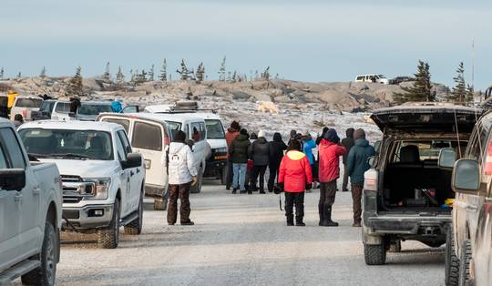 De ijsberenhoofdstad van de wereld leeft van het toerisme, maar hoelang nog?