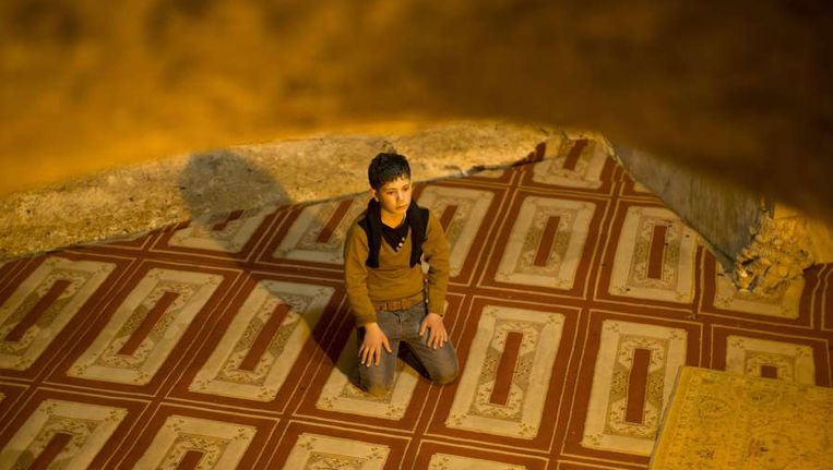 Een moslim bidt in de Rotskoepel in Jeruzalem. Beeld afp
