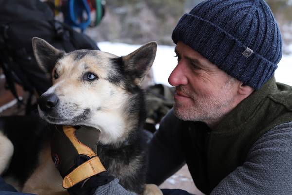 Snow dogs