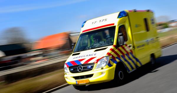 Automobilist (47) uit Gameren overleden na botsing tegen boom in Hedel - BD.nl