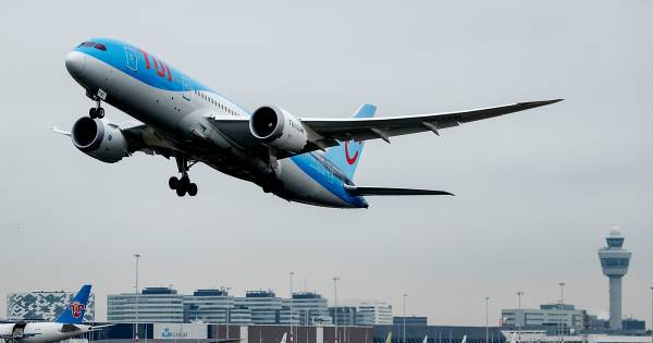 Tui Verwijdert Eis Kledingmaat 36 40 Voor Personeel Per