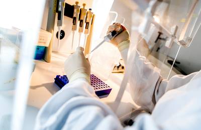 Onderzoekers maken embryo zonder ei- of zaadcellen