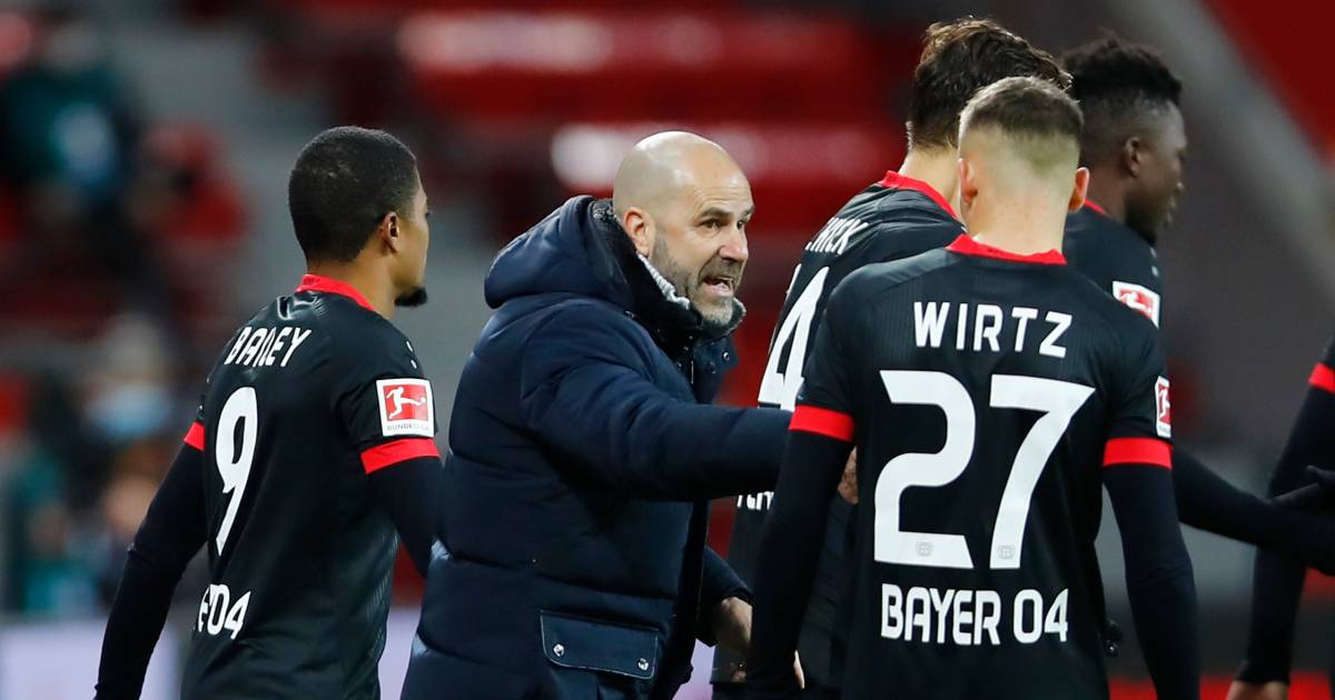 Bosz With Bayer Leverkusen In The Lead In Bundesliga We Want To Finish In The Top Four Sport Netherlands News Live