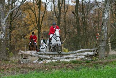 Slipjachten in volle gang met rondje Montferland op het paard