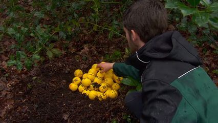 Aflevering 46