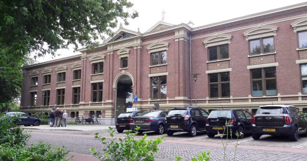 Ontuchtzaak Alem: deskundigen adviseren tbs | Bommelerwaard - BD.nl