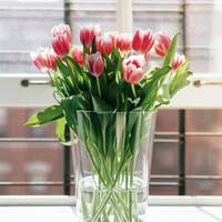 Stop dít in je vaas en je bloemen blijven veel langer mooi