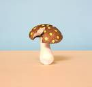 Getest: elke dag een microdosis psychedelische paddo’s