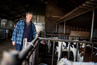 Melkveehouder Jos Vos uit Sterksel: ‘Provincie: kom uit ivoren toren’