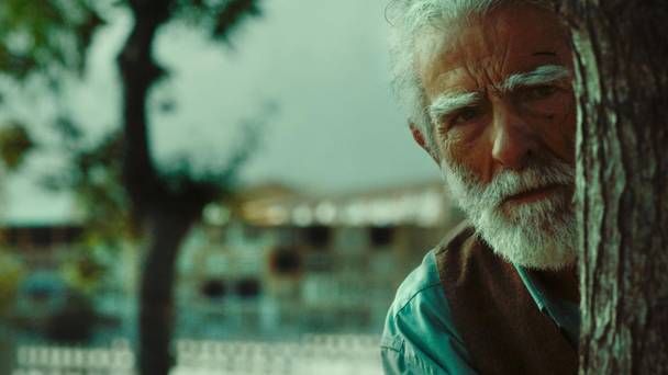 Los Versos del Olvido