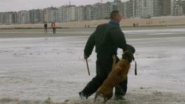 Oostendse politiehonden moeten ook mannetje staan op zee