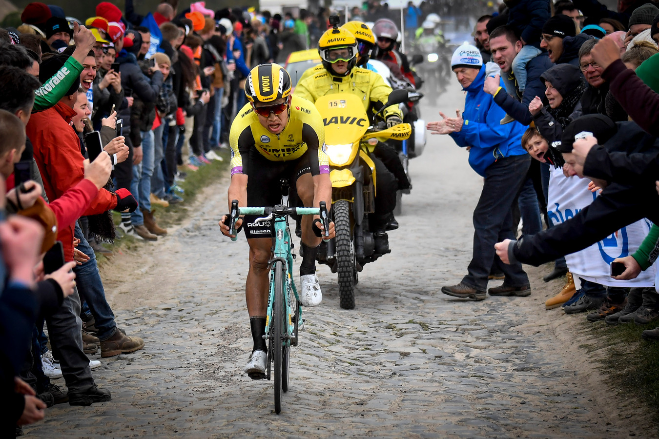 Wout van Aert rijdt het WK op de weg niet | Foto | AD.nl