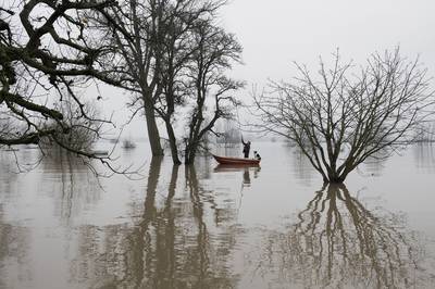 Kasper snoeit nu zijn fruitbomen vanuit de boot: 'Eigenlijk veel prettiger'