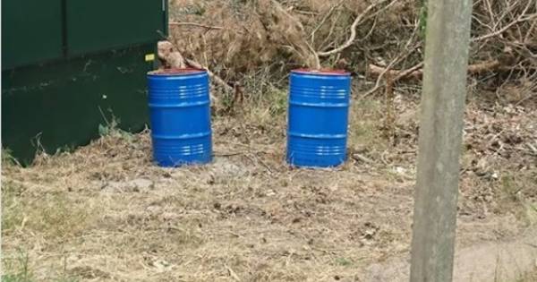Vaten met onbekende inhoud gedumpt in buitengebied Delden