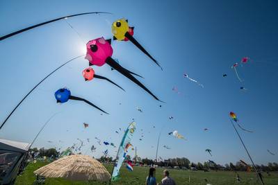 Vliegerfeest keert terug in de Heideweek in Ede
