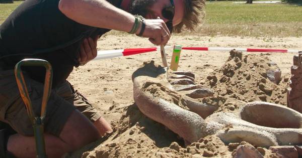 Festival Dreamfields fopt de boel met zogenaamde vondst dinobotten