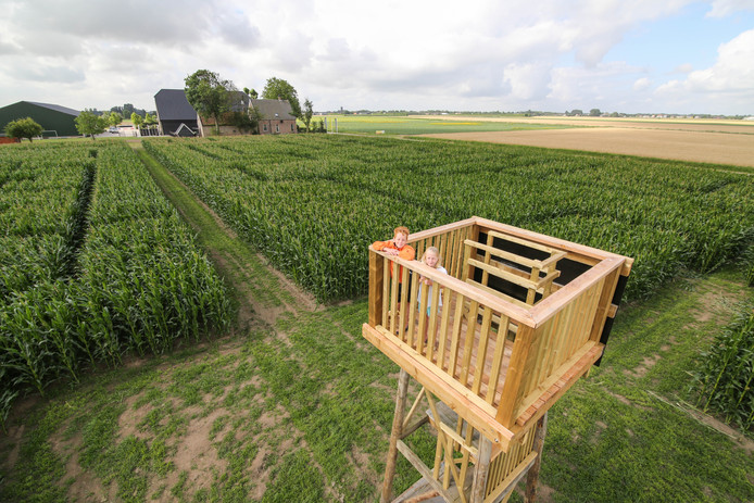 Doolhof Nederland; van grootste maisdoolhof tot labyrinth - Reisliefde