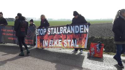 Wake voor omgekomen varkens Didam op andere locatie na bedreigingen